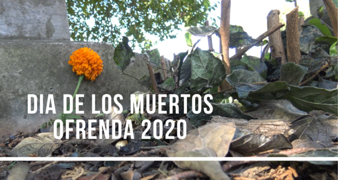 Dia de Los Muertos Ofrenda 2020